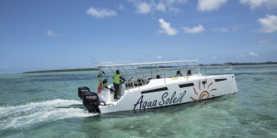 Aquasoleil � Cataspeed: ������� ����������� �� ���������� ����������