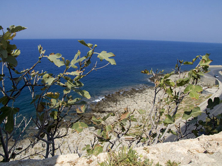 Вид на море в Ретимно